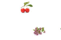 immunité naturelle